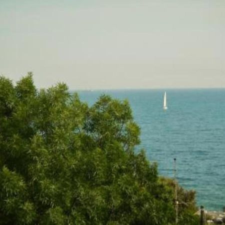 Ghianda Marina Vista Mare Stupenda E 100 Mt Dalla Spiaggia, Accanto Pineta Villa Castiglioncello Dış mekan fotoğraf