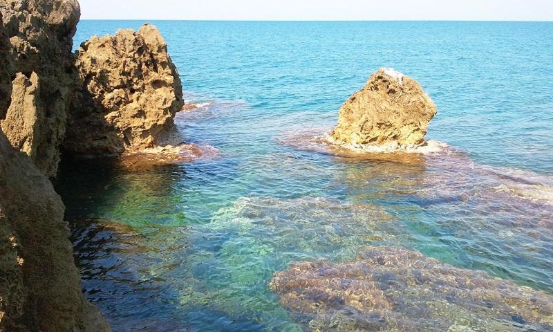 Ghianda Marina Vista Mare Stupenda E 100 Mt Dalla Spiaggia, Accanto Pineta Villa Castiglioncello Dış mekan fotoğraf